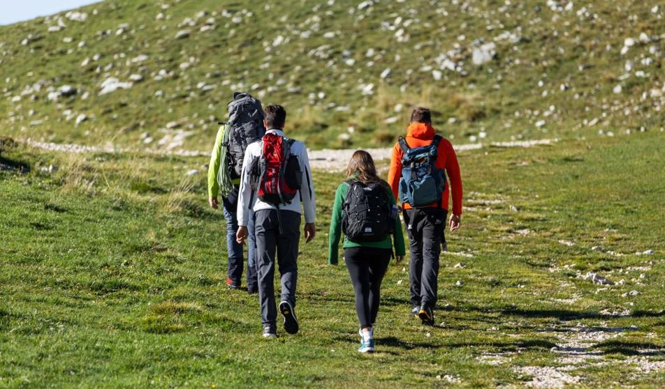 Quattro escursionisti camminano su un sentiero erboso di montagna
