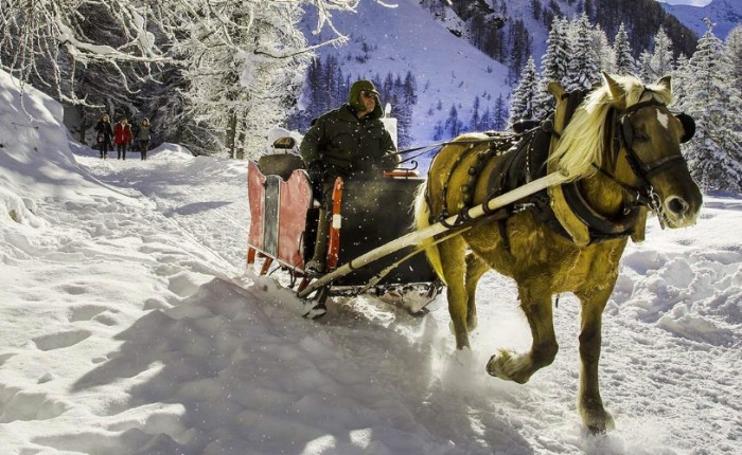Slitta trainata da un cavallo lungo un sentiero innevato